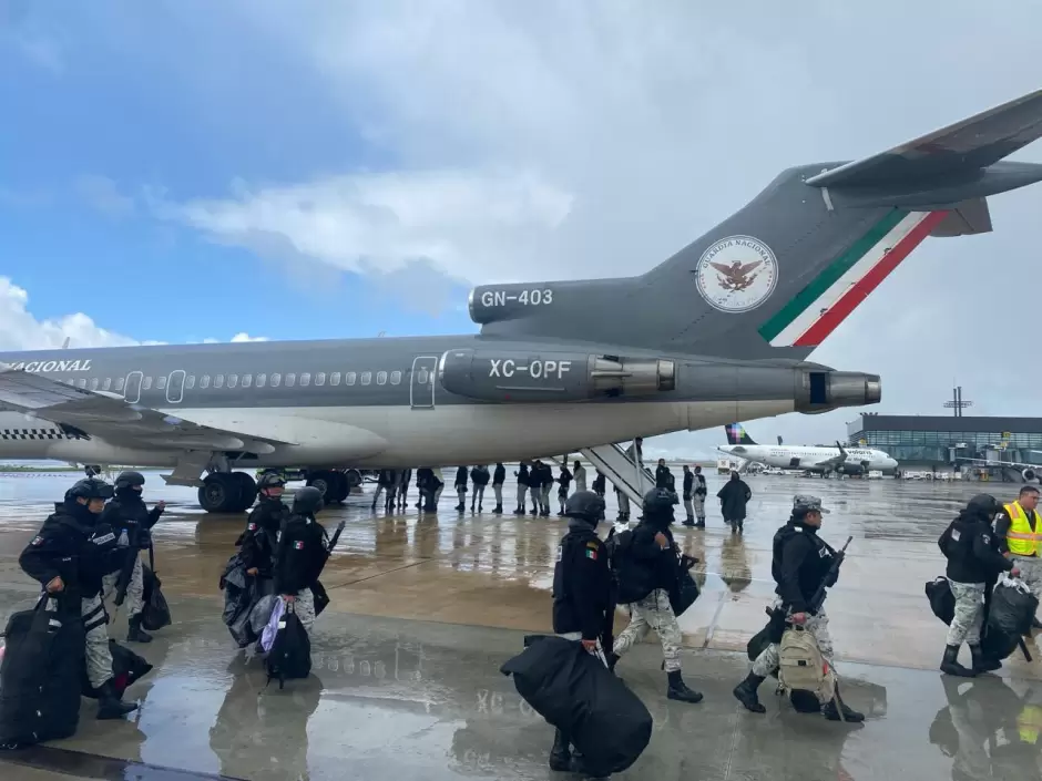 Ejrcito y la Fuerza Area Mexicanos