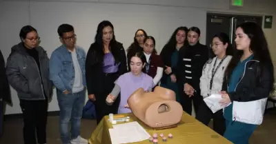 Estudios para la deteccin oportuna de cncer en la mujer