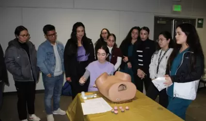 Estudios para la deteccin oportuna de cncer en la mujer