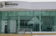 Ganancias del Banco del Bienestar se desploman 80%