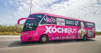 Xchibus