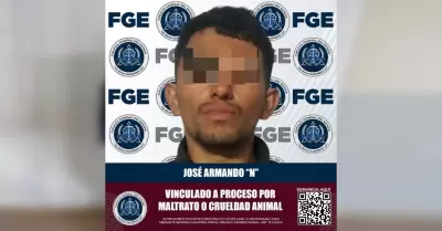 Imputado a proceso por maltrato o crueldad animal