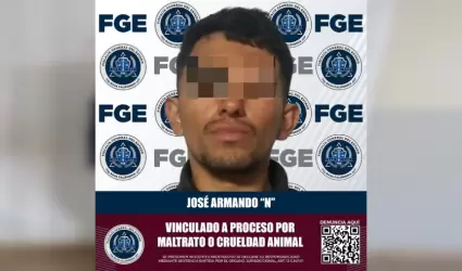 Imputado a proceso por maltrato o crueldad animal