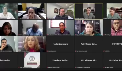 Comisi�n de reforma dictamina ley sobre desaparici�n y b�squeda de personas para