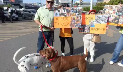 Activistas contra zoofilia