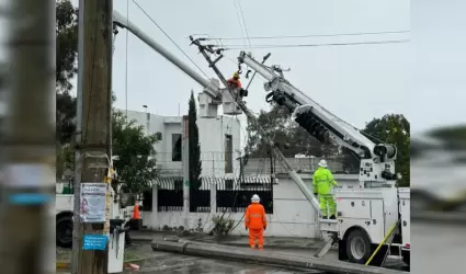 Servicio elctrico