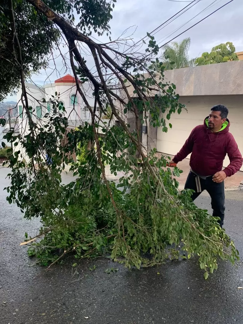 Reportes por tormenta invernal