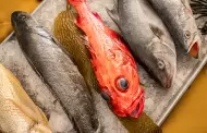 Por cuaresma y calor, repuntan las ventas de pescado y mariscos en Tijuana