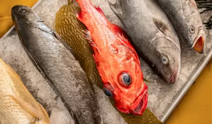 Pescados y mariscos