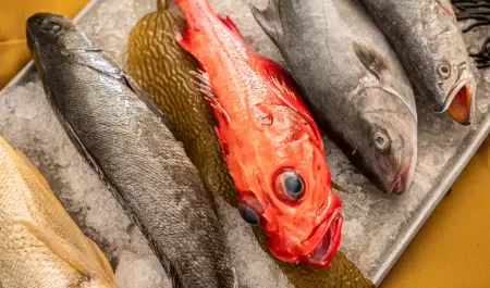 Pescados y mariscos