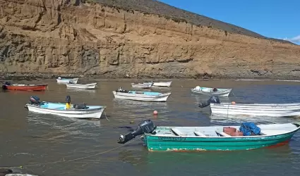 Concluy plazo de solicitudes para el Programa de Pesca, Acuacultura y Pesca Dep