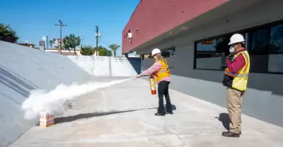 Cultura de Proteccin