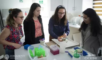 Imparten taller sobre citometra de flujo en el CICESE