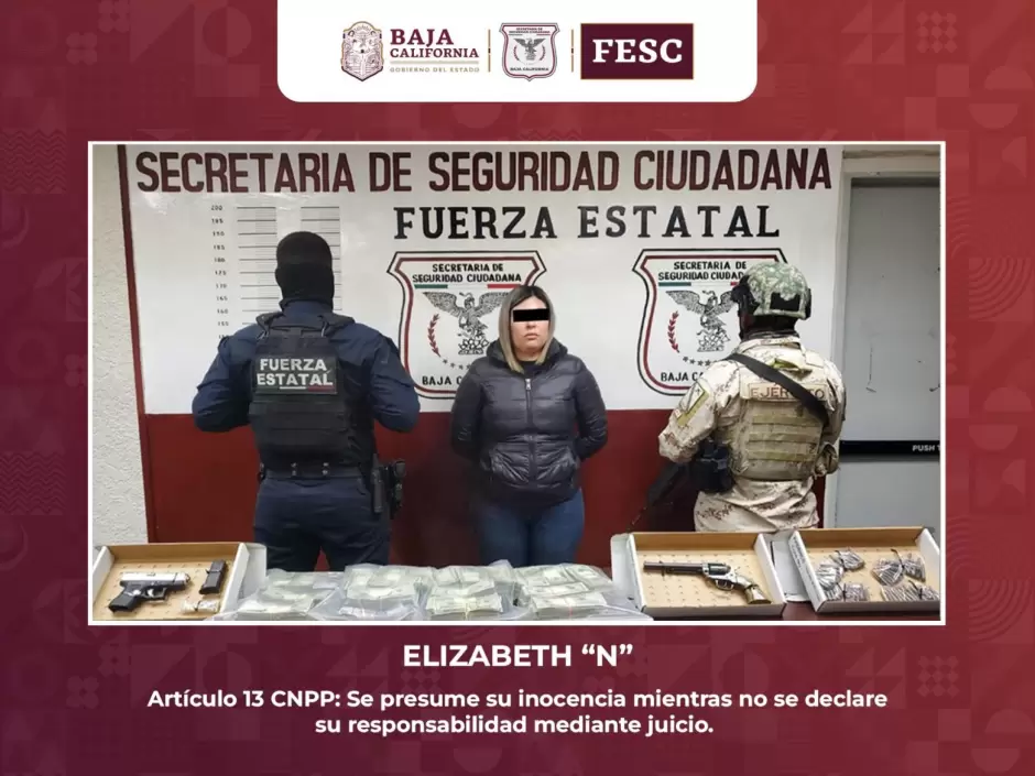 Detienen a mujer en posesin de armas de fuego y cerca de 200 mil dlares