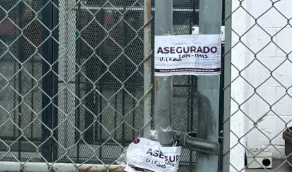 Asegurado