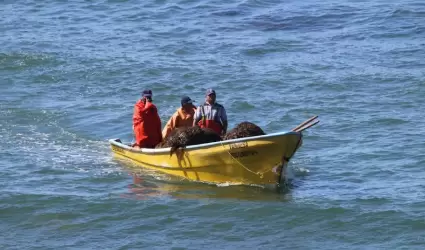 Mantienen programa para personal de pesca acuacultura y de pesca deportiva