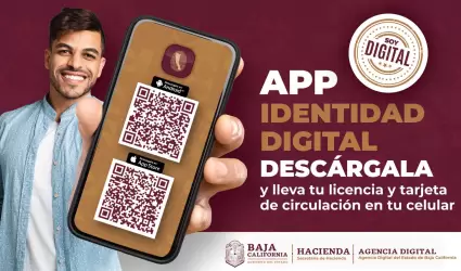 Exhortan a renovar tarjeta de circulacin en lnea