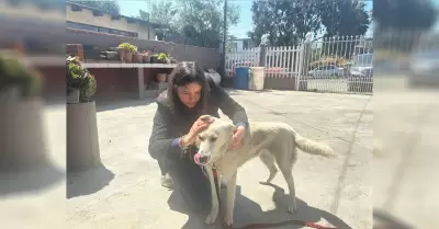 Emite salud recomendaciones para prevenir la proliferaci�n de la garrapata