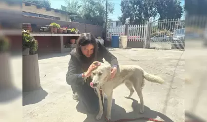 Emite salud recomendaciones para prevenir la proliferaci�n de la garrapata