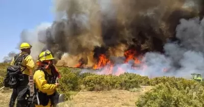 Se prepara SADERBC y comit del manejo de fuego ante temporada de incendios fore