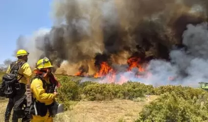 Se prepara SADERBC y comit del manejo de fuego ante temporada de incendios fore