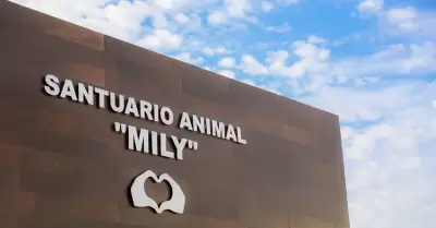 Santuario animal Mily