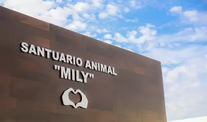 Santuario animal Mily