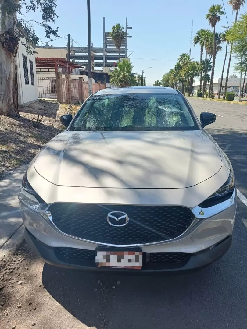 Detenido por daños en propiedad ajena