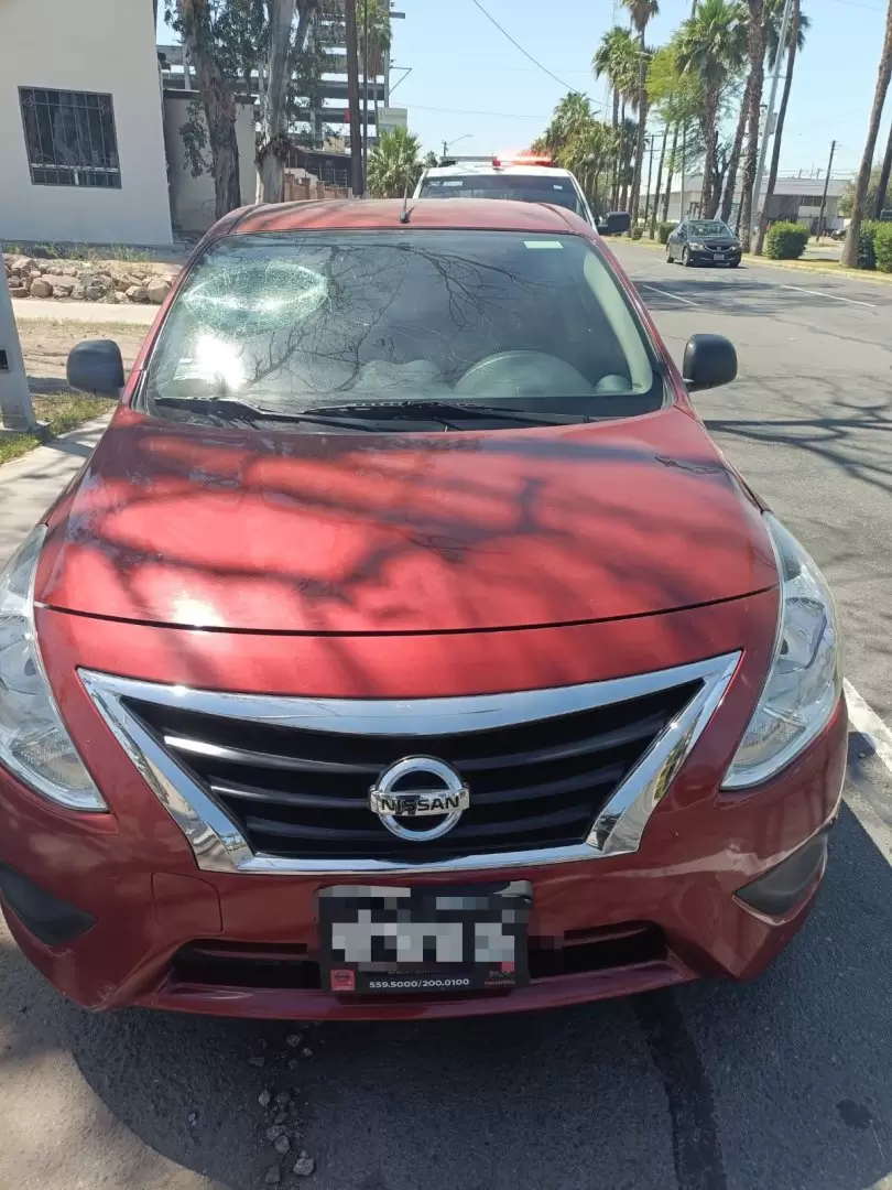 Detenido por daños en propiedad ajena