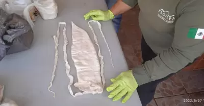 Traficante de totoaba