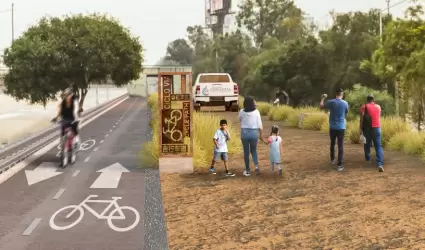 Uso de la bicicleta