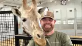 Quiroprctico atiende a una jirafa
