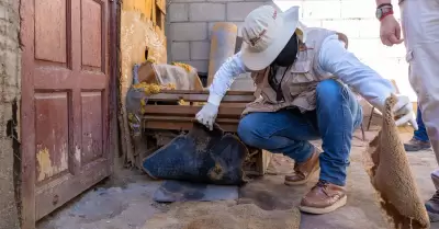 Mantener patios limpios para prevenir enfermedades