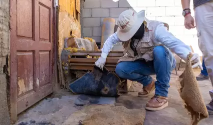 Mantener patios limpios para prevenir enfermedades