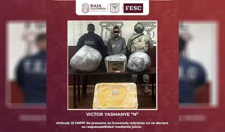 Aseguran ms de 40 kg de marihuana Fuerza Estatal y SEDENA en Tecate