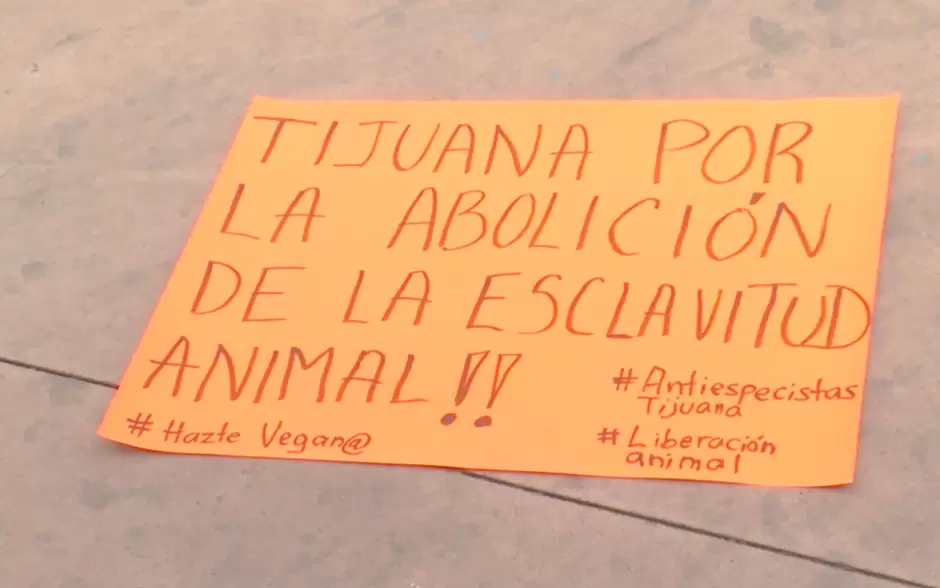 Impunidad ante el maltrato animal