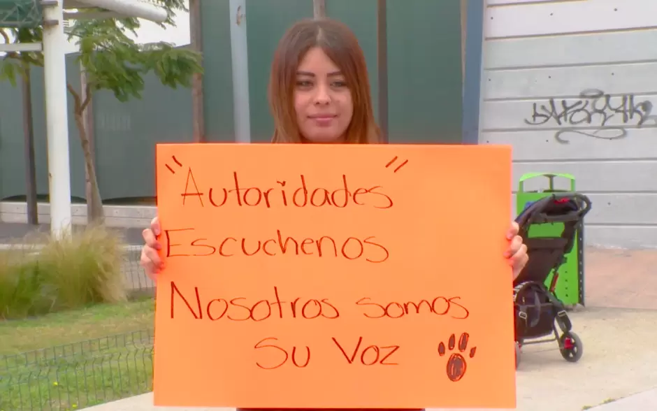 Impunidad ante el maltrato animal