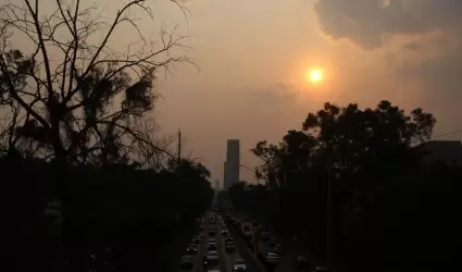 Ola de calor