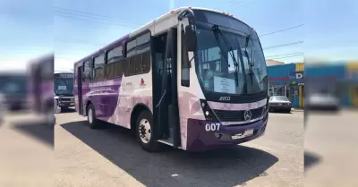 transporte violeta
