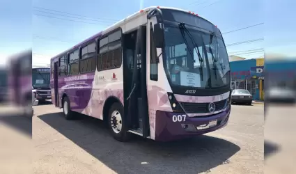 transporte violeta