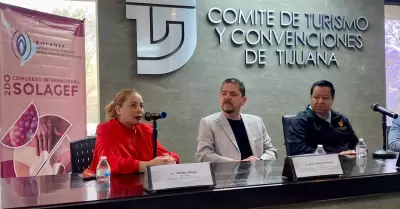 Congreso de Ginecolog�a Est�tica y Funcional