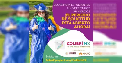 Becas colibr mx