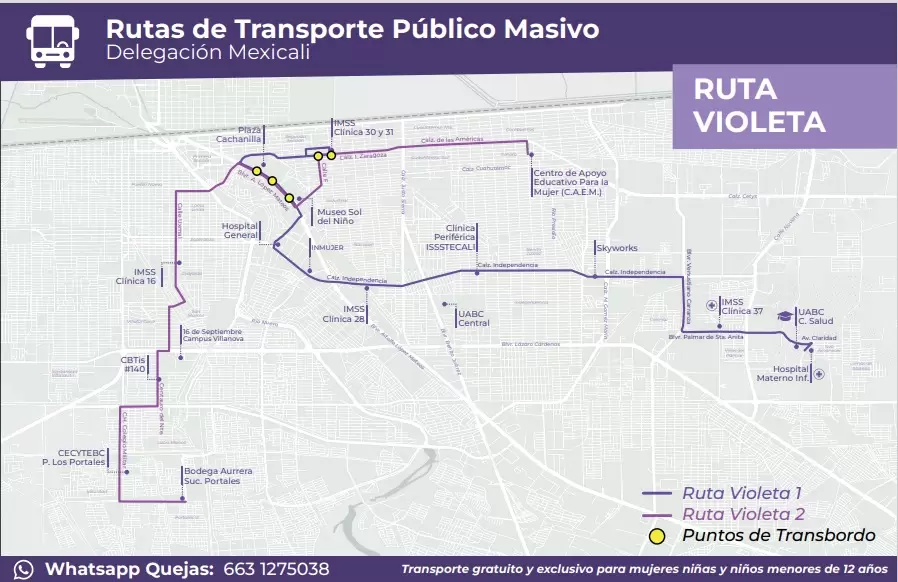 Estrena transporte violeta nueva ruta en Mexicali