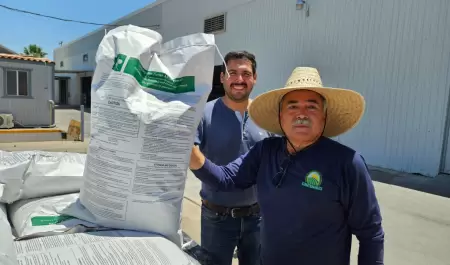 Trabajan para impulsar la rentabilidad del maz en el Valle de Mexicali