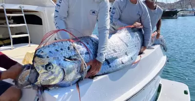 Pez remo encontrado por pescadores deportivos en el Mar de Corts