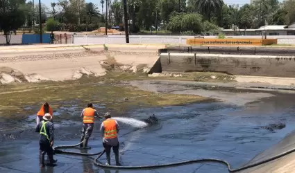 Trabajos de mantenimiento