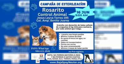 Invita Gobierno Municipal y Baja Spay Neuter a la Jornada de Esterilizacin grat