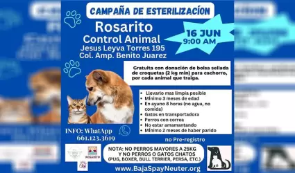 Invita Gobierno Municipal y Baja Spay Neuter a la Jornada de Esterilizacin grat