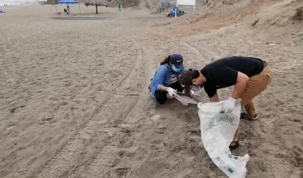 Jornada "Ensenada en Armona con el Mar" en Playa Stacks