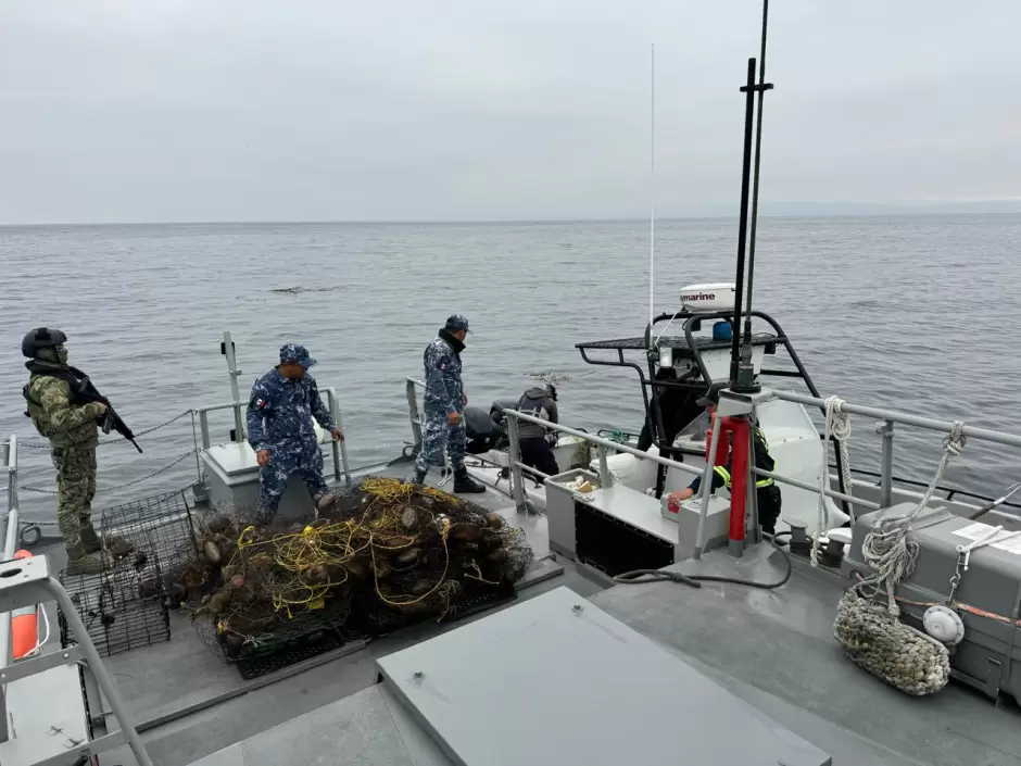 Marina incrementa operativos de vigilancia para erradicar la pesca ilegal de langosta, en Ensenada, B.C.